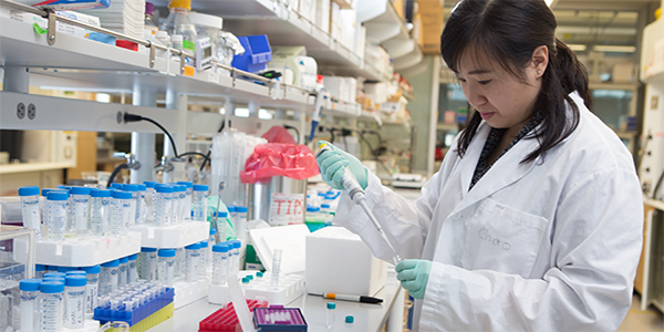 Jobs for a biomedical science graduate