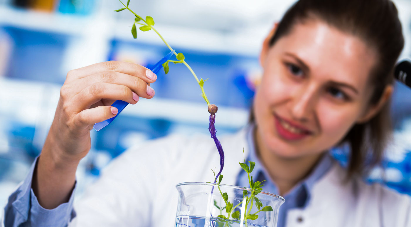 10 Best Master's Programs in Food Science and Technology – Master's Programs  Guide