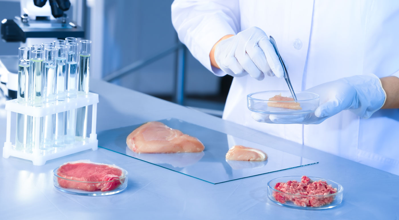 Best Affordable Online Master's in Food Science and Technology