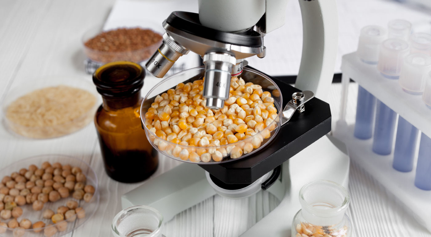 15 Best Affordable Master’s in Food Science and Technology